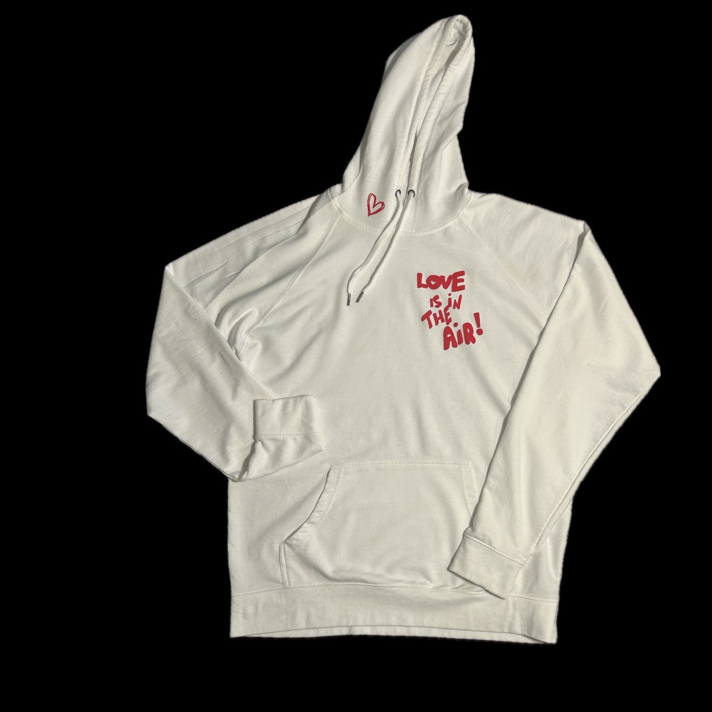 Love is in the Air! Hoodie